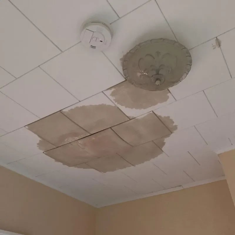 Ceiling Water Damage Repair in La Dolores, PR