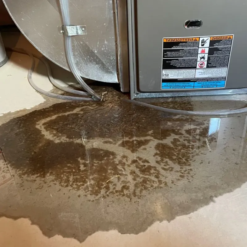 Pipe Burst and Leak Restoration in La Dolores, PR