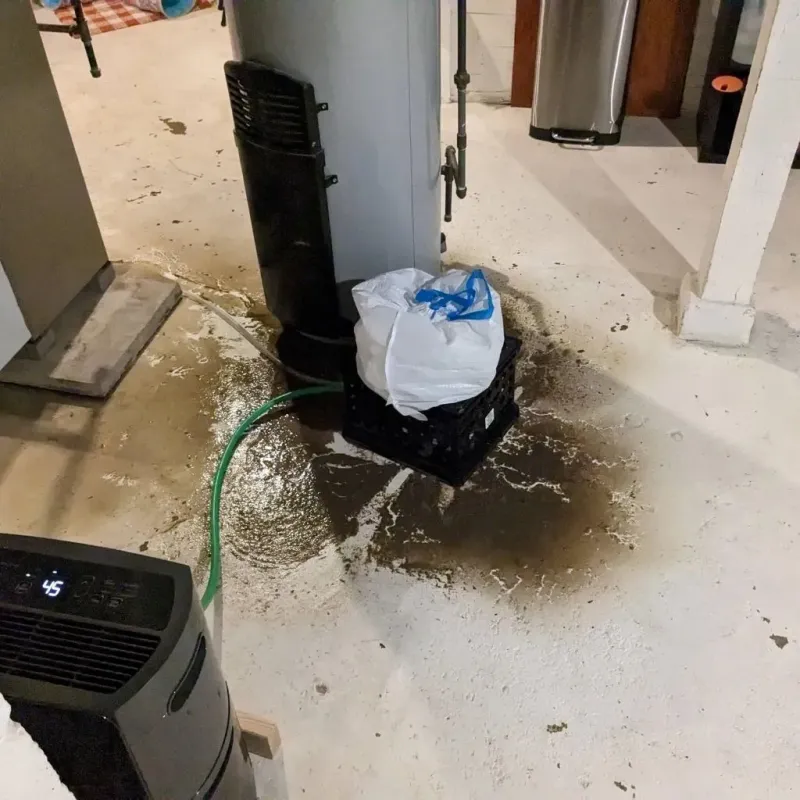 Sewage Backup Cleanup Service in La Dolores, PR
